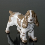 Springer spaniel standing at attention, Bing & Grondahl dog figurine No. 2095