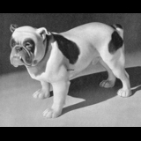 Engelsk Bulldog, Bing & Grøndahl hundefigur nr. 2110