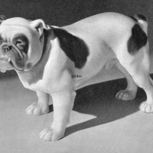 Engelsk Bulldog, Bing & Grøndahl hundefigur | Nr. B2110 | DPH Trading