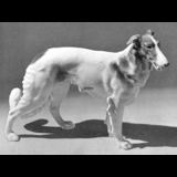 Borzoi, standing, Bing & Grondahl dog figurine no. 2115
