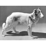 Stående Borzoi, Bing & Grøndahl hundefigur nr. 2115