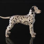Dalmatiner 19cm, Bing & Grøndahl hundefigur 