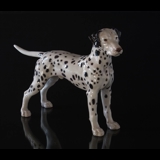 Dalmatiner, 19cm, Bing & Gröndahl Hund Figur Nr. 2122