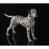 Dalmatiner 19cm, Bing & Grøndahl hundefigur nr. 2122