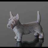 Stående Skotsk Terrier, 7,5cm, Bing & Grøndahl hunde figur nr. 2167