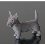 Scottish Terrier standing 7,5cm, Bing & Grondahl dog figurine no. 2167