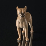 German Boxer standing at attention, Bing & Grondahl dog figurine No. 2212