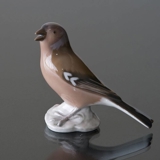 Buchfink, Bing & Gröndahl Vogelfigur Nr. 2322