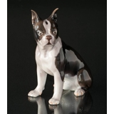 Boston Terrier, Bing & Grondahl dog figurine No. 2330