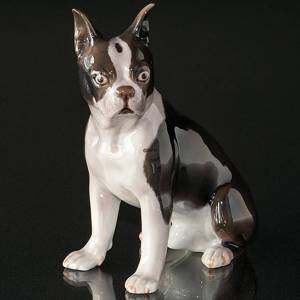 Boston Terrier, Bing & Grøndahl figur af hund nr. 2330 | Nr. B2330 | DPH Trading