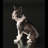 Boston Terrier, Bing & Gröndahl Hund Figur Nr. 2330