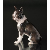 Boston Terrier, Bing & Grøndahl figur af hund nr. 2330