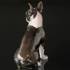 Boston Terrier, Bing & Grøndahl figur af hund nr. 2330 | Nr. B2330 | DPH Trading