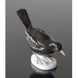 Blackbird sitting low, Bing & Grondahl bird figurine No. 2405