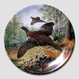 Plate no 1 in the series "European Wild Birds", Royal Grafton
