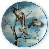 Plate no 2 in the series Nordic Birds of Prey