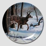 Dominion, Platte i serien Vild og Fri