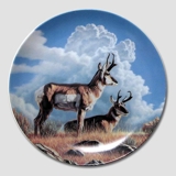 Dominion Plate in the series "Wild and Free"