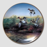 W S George, Platte nr 3 i serien Vådfugle i Naturen