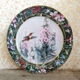 W S George, Plate no 4 in the series, "Hummingbird Treasury" by Lena Liu