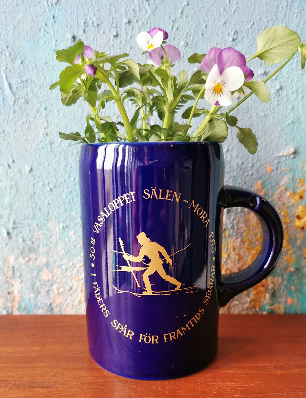 Tonkin Vasaløbkrus 1973