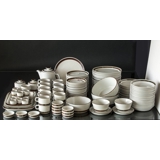 Desiree Selandia tableware - Totally 125 dele