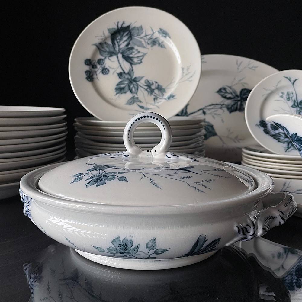 Villeroy & Boch Rubus stel - Samlet 35 dele