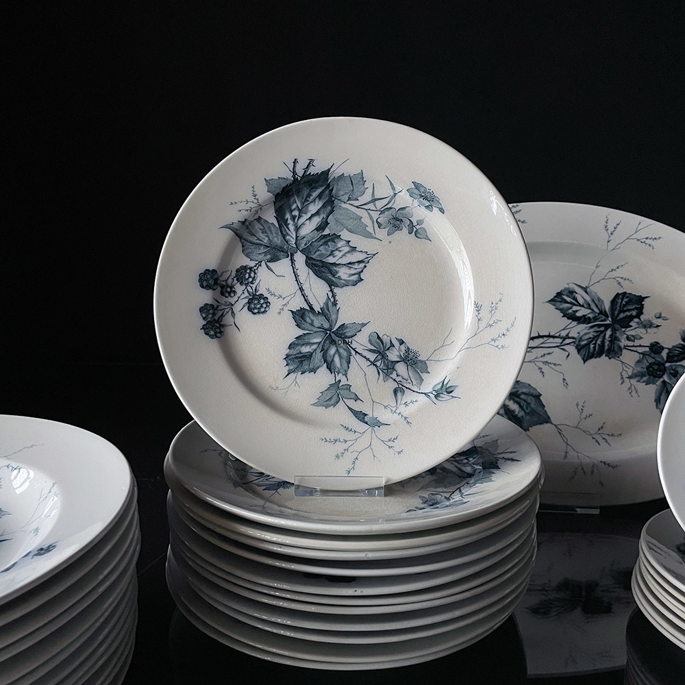 Villeroy & Boch Rubus stel - Samlet 35 dele