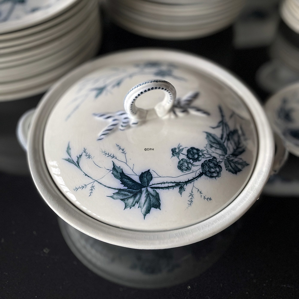 Villeroy & Boch Rubus stel - Samlet 35 dele