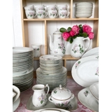 Bing & Grøndahl Chrysanthemum Okseøje stel - Samlet 90 dele