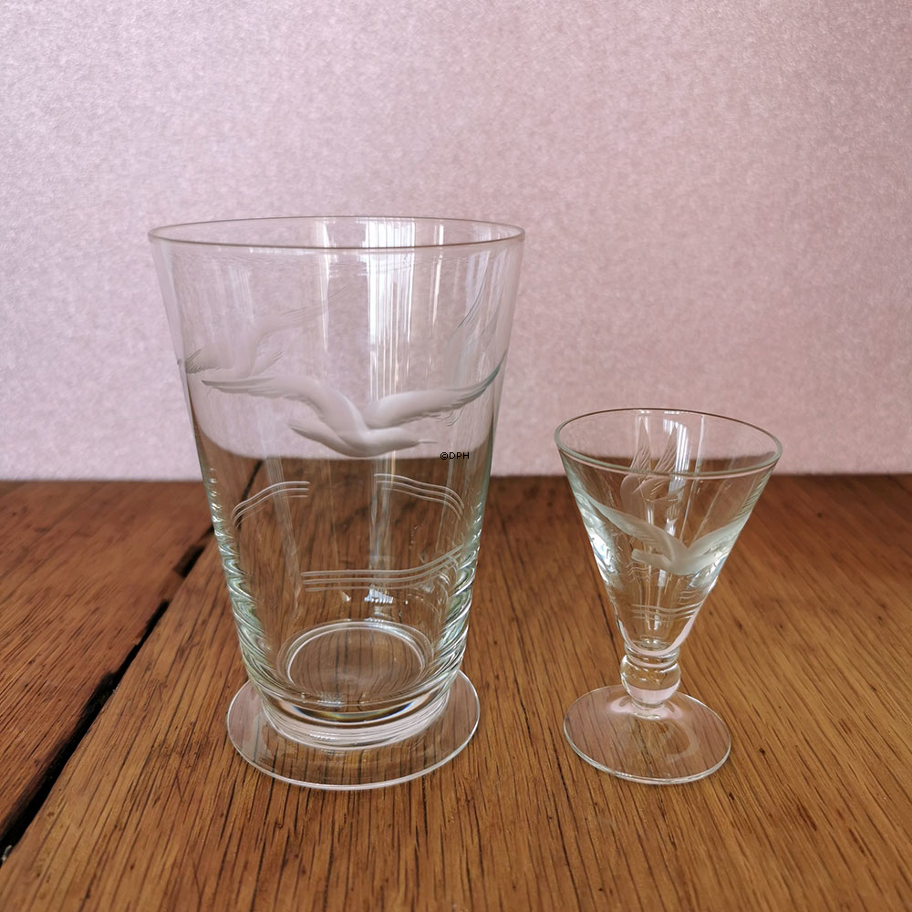 Måge drikkeglas uden guldkant, vandglas