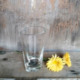 Vintage Glas Vase med buet kant