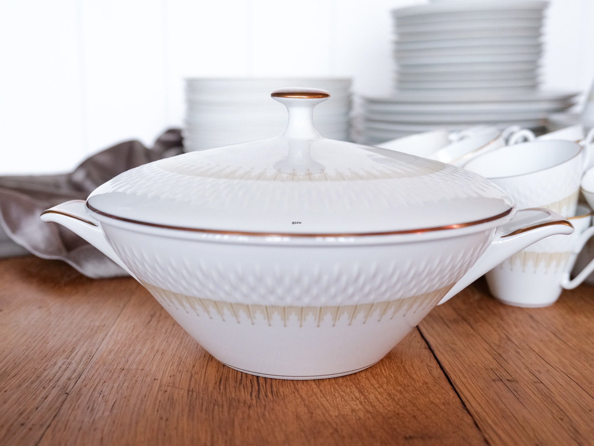 Bavaria Marcelisborg porcelæn (ialt 55 dele)