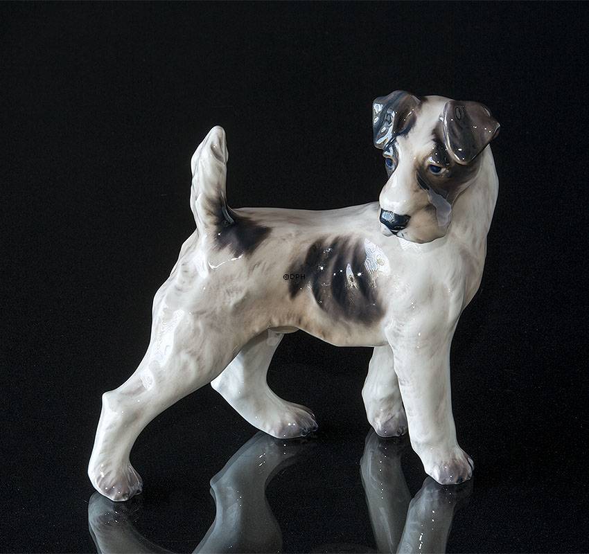 Ruhåret foxterrier stående Dahl Jensen nr. 1001