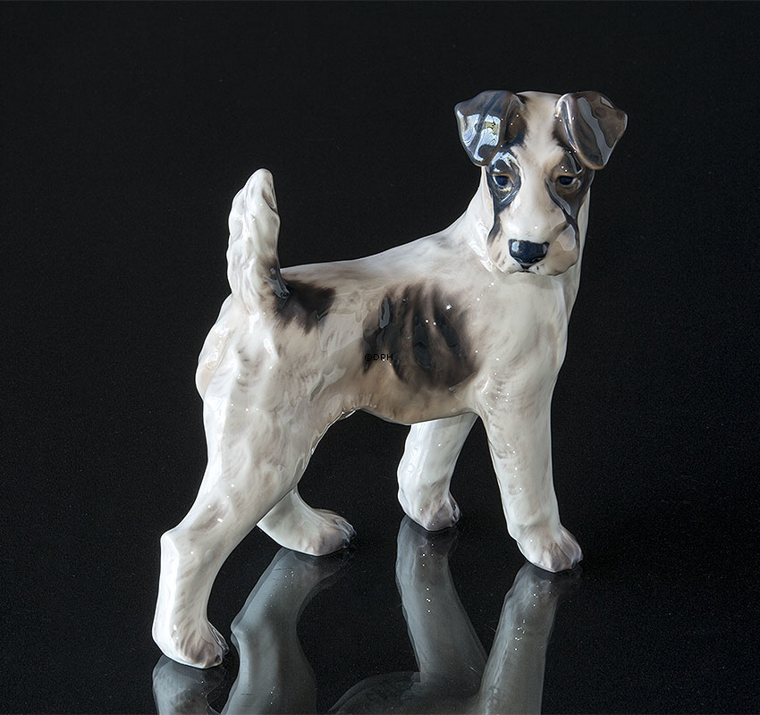 Ruhåret foxterrier stående Dahl Jensen nr. 1001