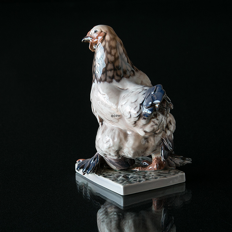 Dahl Jensen bramaputrahøne, 17cm