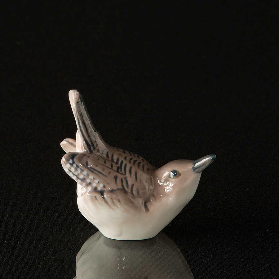 Gærdesmutte, Dahl Jensen