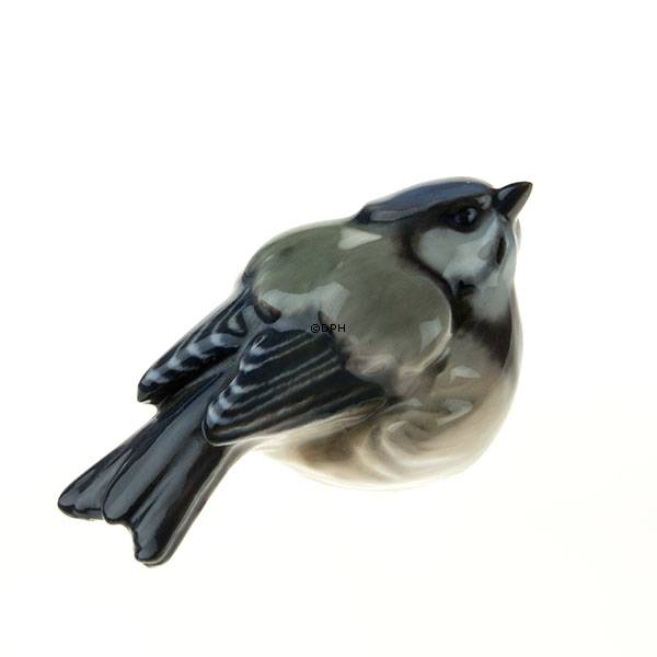 Blåmejse, Dahl Jensen