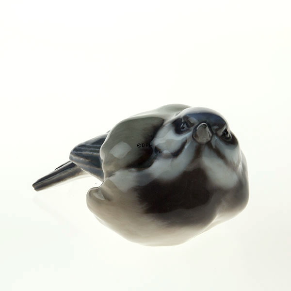 Blåmejse, Dahl Jensen