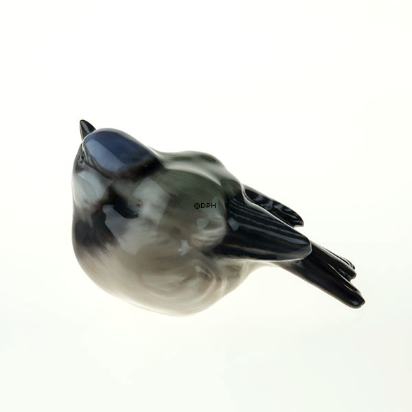 Blåmejse, Dahl Jensen