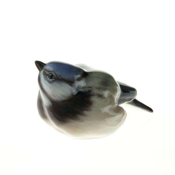 Blåmejse, Dahl Jensen