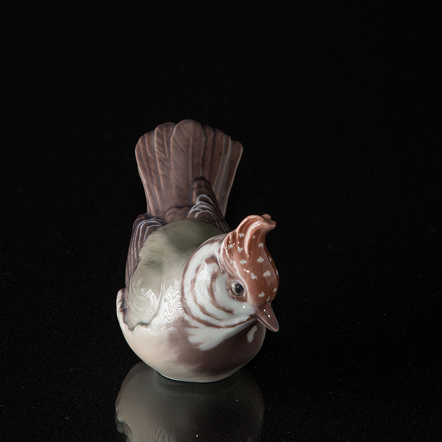 Topmejse, Dahl Jensen nr. 1050