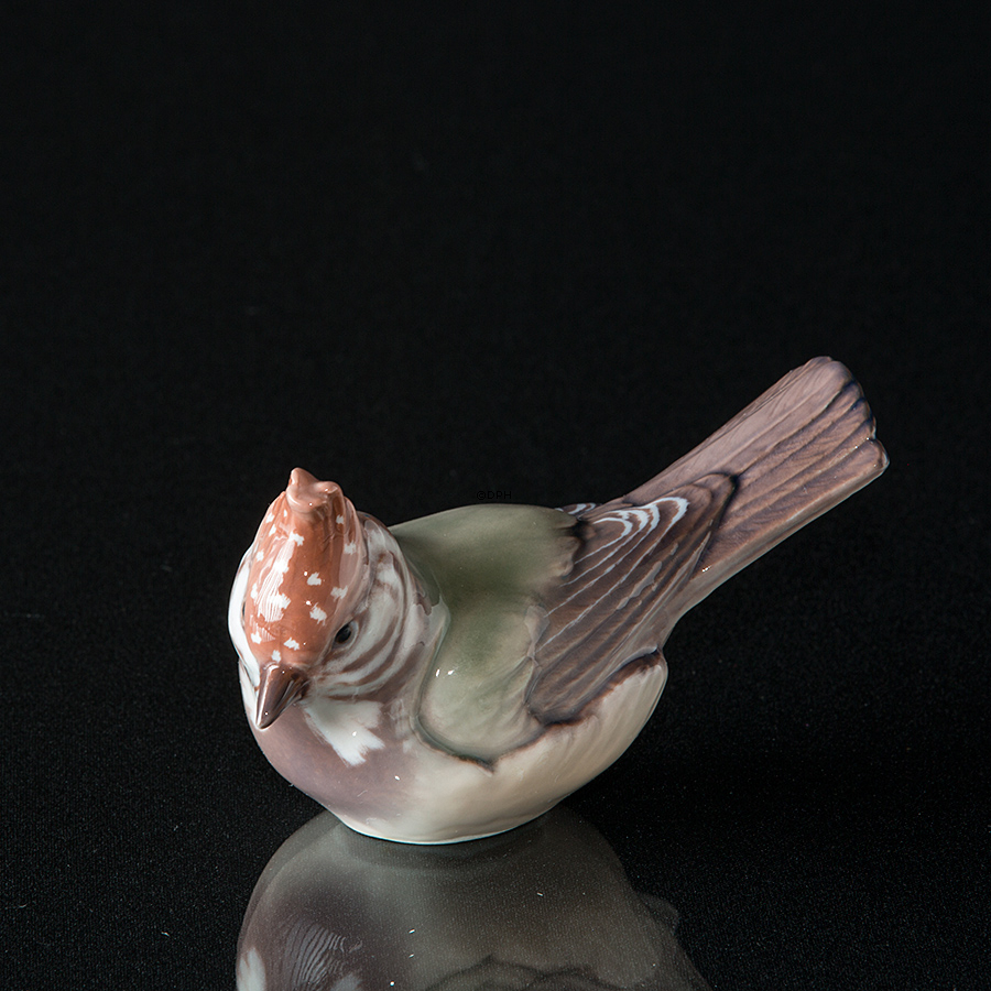 Topmejse, Dahl Jensen nr. 1050