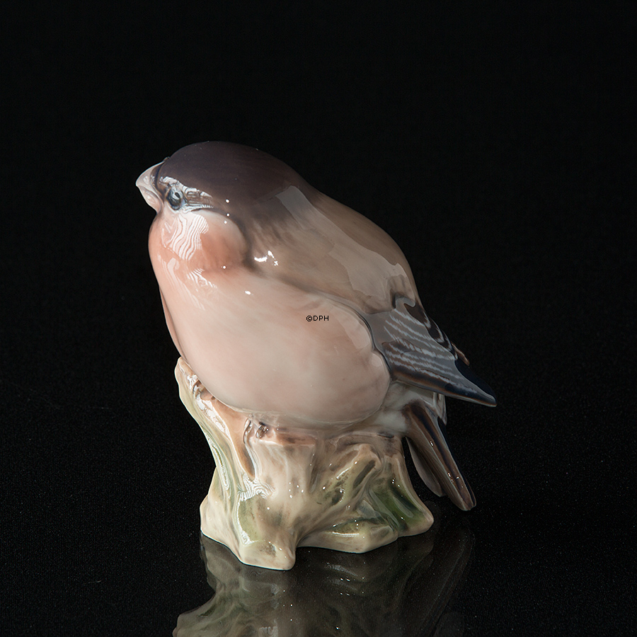 Dompap, Dahl Jensen nr. 1052