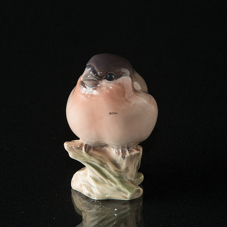 Dompap, Dahl Jensen nr. 1052