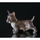 Dahl Jensen skotsk terrier, figur nr. 1066