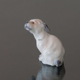 Hund Belgische Zwerggriffon Hund Figur Dahl Jensen Nr. 1120