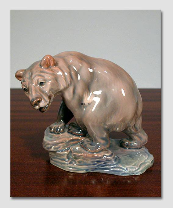 Landbjørn, lille Dahl Jensen