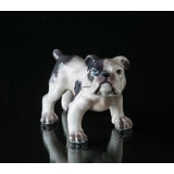 Hundefigur Engelsk Bulldog Dahl Jensen nr. 1135