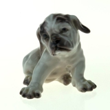 Puppy British Bulldog Dahl Jensen Figurine No. 1139